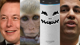 Elon Musk's Monkey Tests, Dating Site Hell, and Alexa Nightmares: The Best Gizmodo Stories of the Week